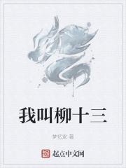 我叫柳十三 我叫柳十三