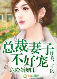 危险婚姻①总裁妻子不好宠 危险婚姻①总裁妻子不好宠