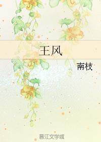 王风 王风