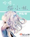 哈喽,猫小姐 哈喽,猫小姐