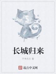 长城归来 长城归来