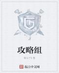 攻略组 攻略组