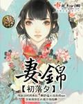 妻锦 妻锦