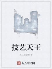 技艺天王 技艺天王