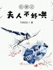 红楼之夫人不好哄