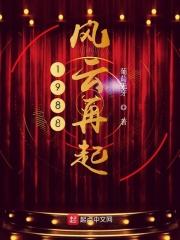 1988风云再起 1988风云再起